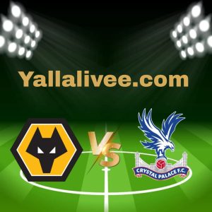 يلا لايف-بث مباشر مباراة وولفرهامبتون و كريستال بالاس